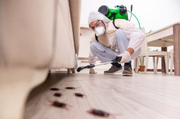 Why Pest Control Necessary