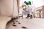 Cockroach Control