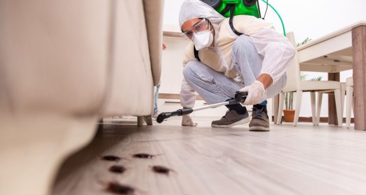 Why Pest Control Necessary