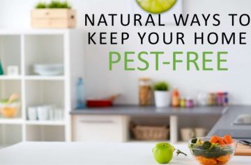 How to Avoid Pest at Home